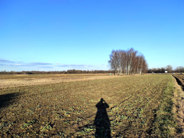 Działka budowlano-rolna Zasole