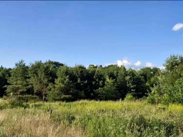 Działka budowlana Kędzierzyn-Koźle sprzedam