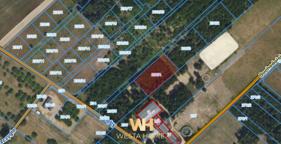 Działka przy lesie