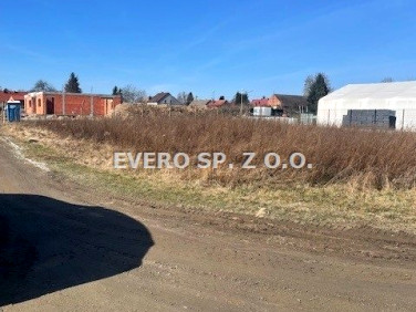 Działka Oleśniczka