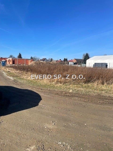 Działka Oleśniczka