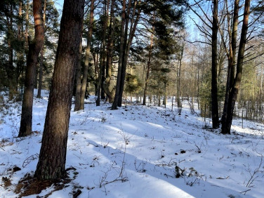 Działka budowlana Łosie