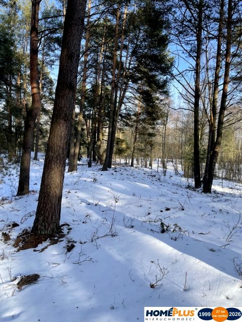 Działka budowlana Łosie