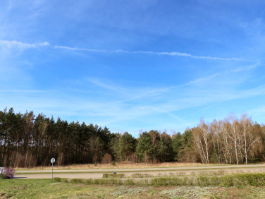 Działka budowlana Dąbcze