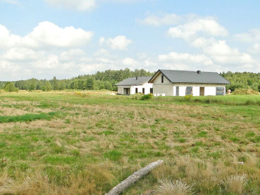 Działka budowlana Zalesiany