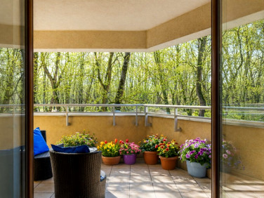 Mieszkanie Kraków sprzedaż