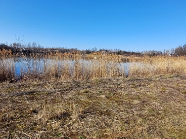 Działka rekreacyjna Żarów