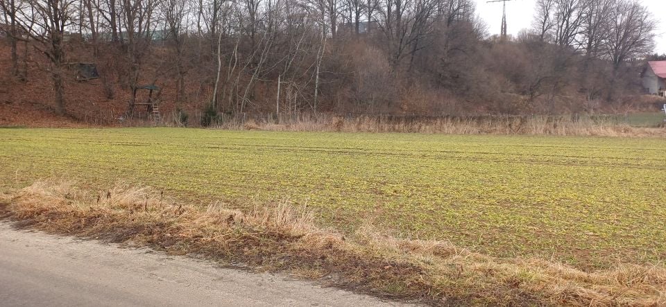 Zdjęcie 3