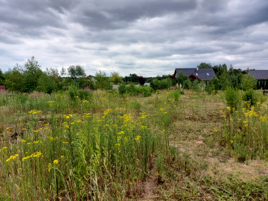 Działka budowlana Radzewice