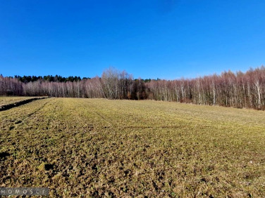Działka rolna Biały Kościół
