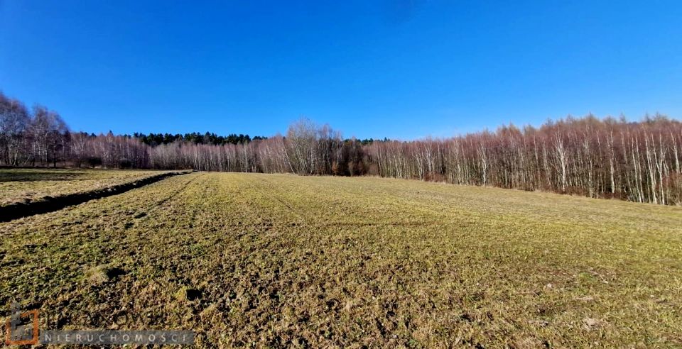 Działka rolna Biały Kościół