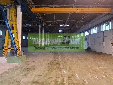 Budynek użytkowy Piaseczno