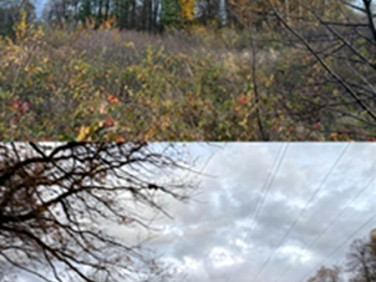 Działka budowlana Lusina