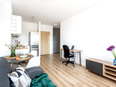 Mieszkanie Poznań wynajem