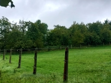 Działka budowlana Michałowice