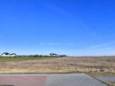 Działka inwestycyjna Nieżywięć