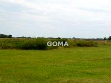 Pusta działka Halinów