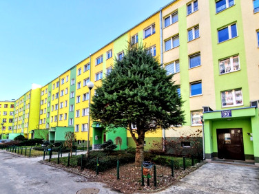 Mieszkanie WAŁBRZYCH