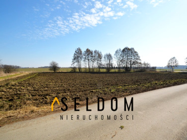 Działka budowlana Pichorowice