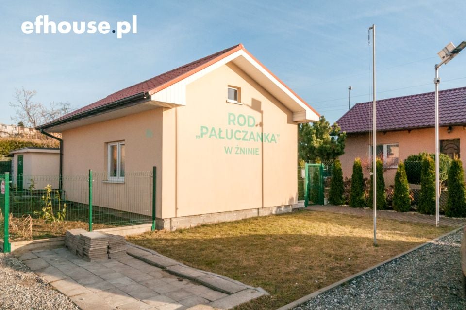 Zdjęcie 2