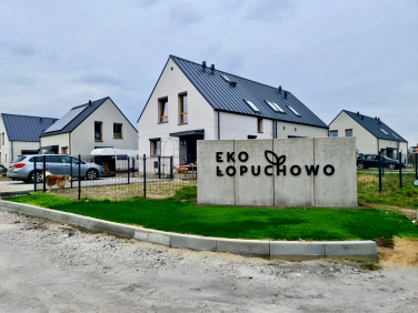 Ekołopucho