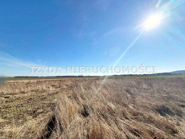 Pusta działka Szymanów