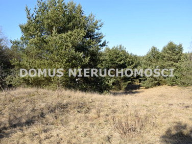 Pusta działka Tworzyjanki