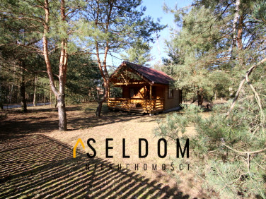 Działka rekreacyjna Stanisławowo sprzedam