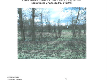 Działka rolna Miasteczko Śląskie sprzedam