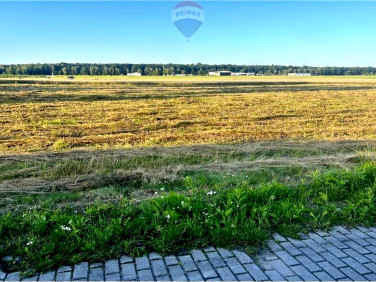 Działka budowlana Rybnik