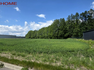 Działka Starczanowo