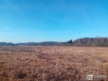 Działka rolna Żółwia Błoć