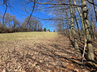 Działka rolna Brzączowice