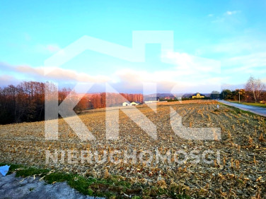 Działka NOWODWORZE