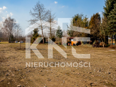 Działka przy lesie