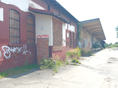 Budynek użytkowy Dzierżoniów