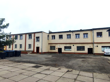 Lokal Kędzierzyn-Koźle