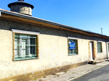 Lokal Kędzierzyn-Koźle