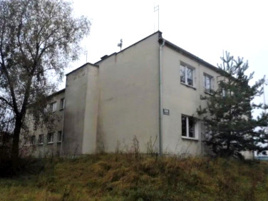 Lokal Poznań wynajem