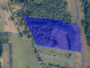 Działka rolna Pogorzelce