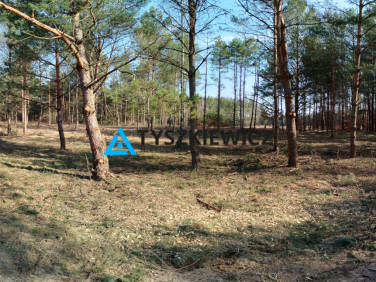 Działka budowlana Bukowiny