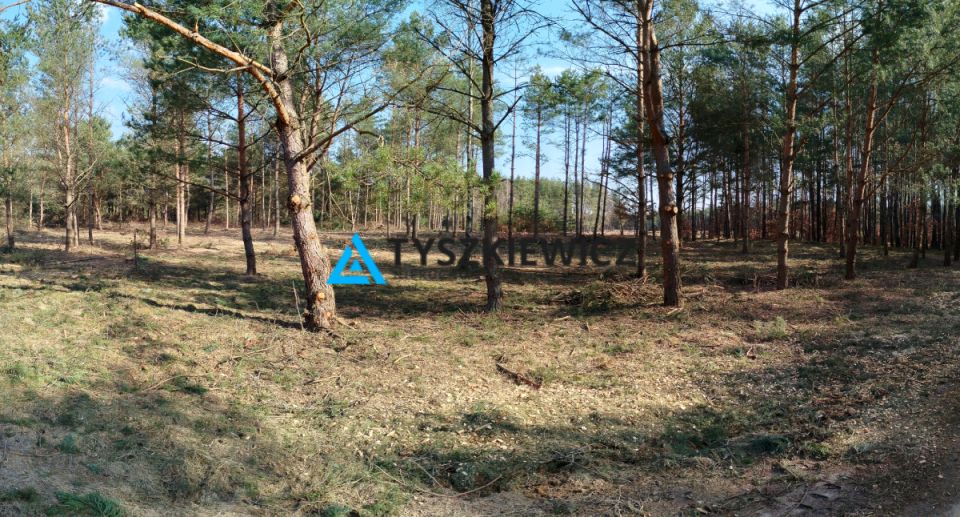 Działka budowlana Bukowiny