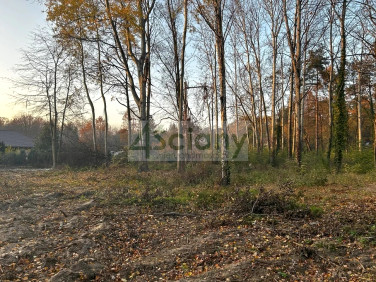 Działka budowlana Podkowa Leśna