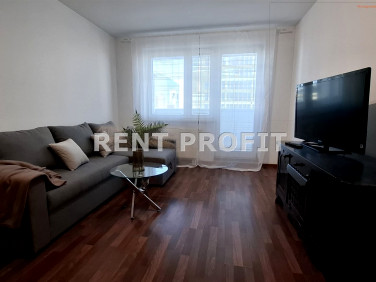 Mieszkanie apartamentowiec wynajem