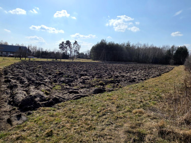 Działka budowlana Dąbrowica sprzedam