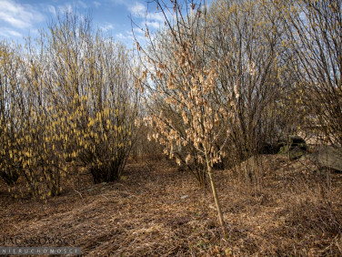 Działka budowlana Bibice