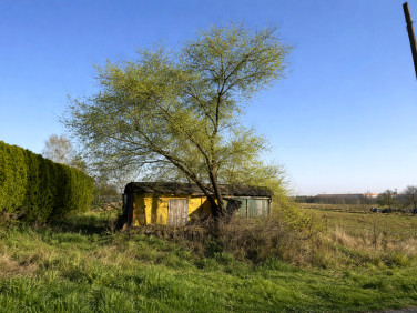 Działka budowlana Natolin