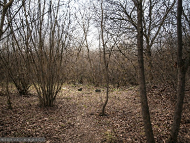 Działka budowlana Bibice