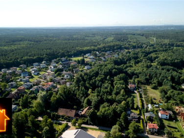 Działka leśna sprzedam