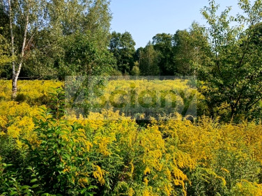 Działka budowlana Milanówek